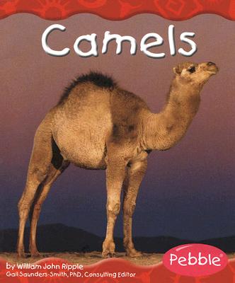 camels这本书不错哟强烈推荐